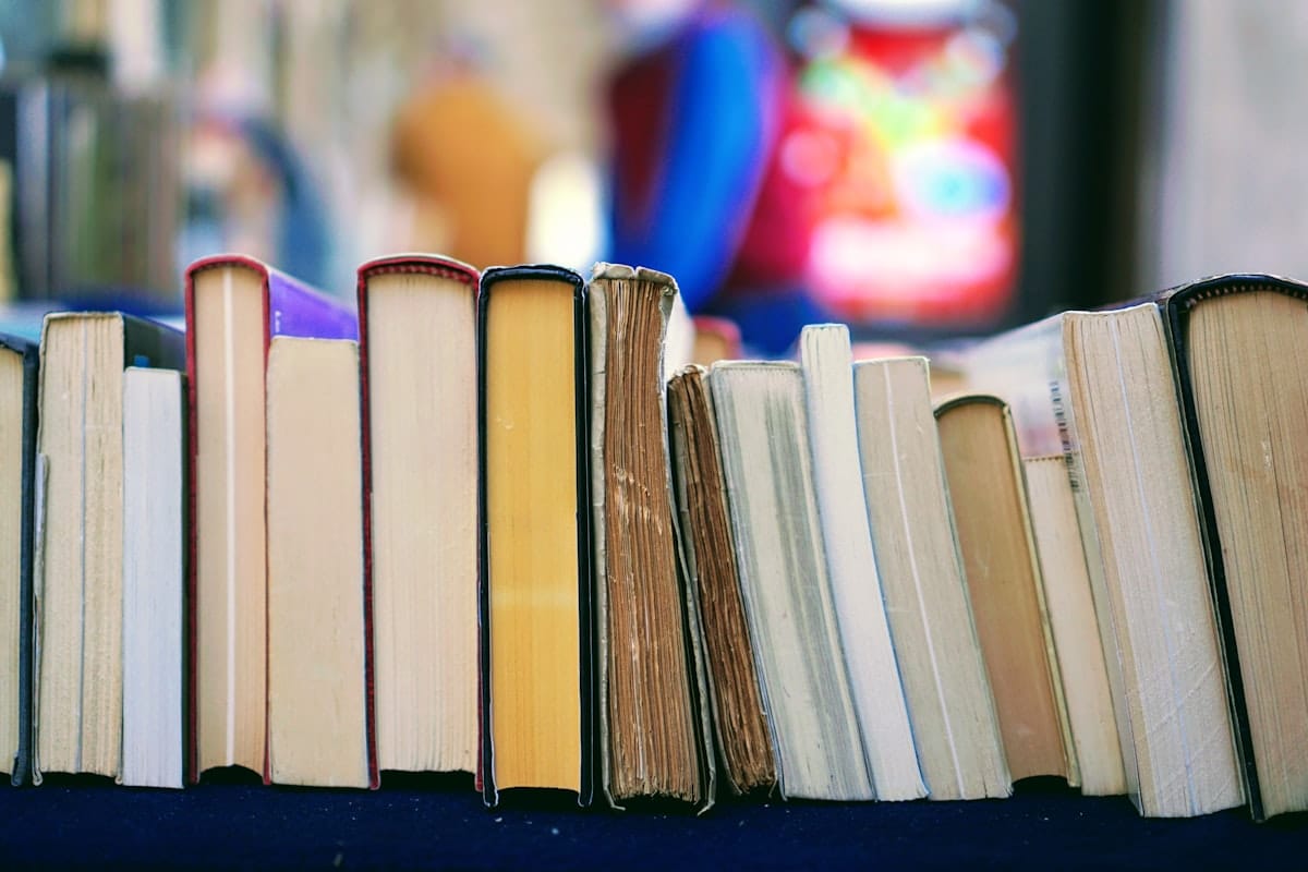 Rangée de livres colorés symbolisant le milieu scolaire